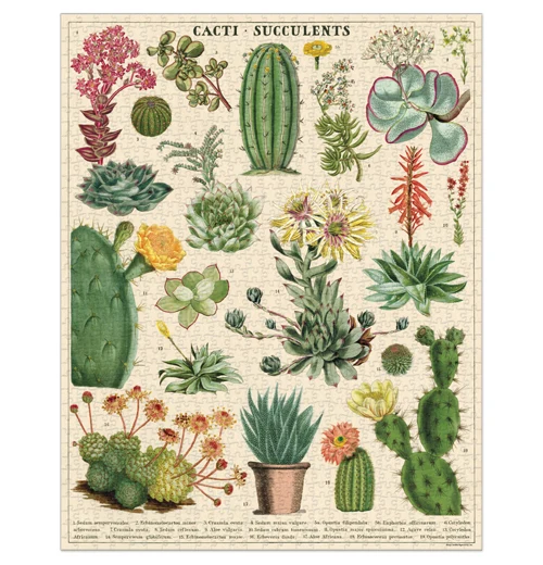 Succulents 1000-Piece Puzzle - Image 3