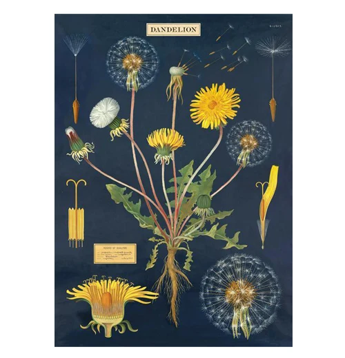 Botanical Poster Wrap - Image 10