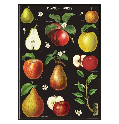 Botanical Poster Wrap - Image 20