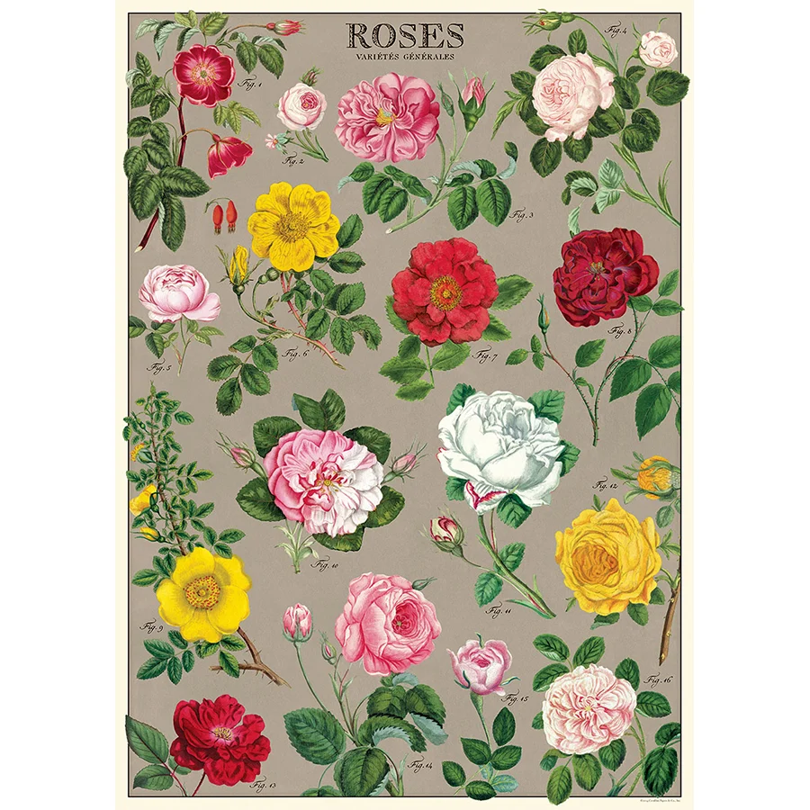 Botanical Poster Wrap - Image 40