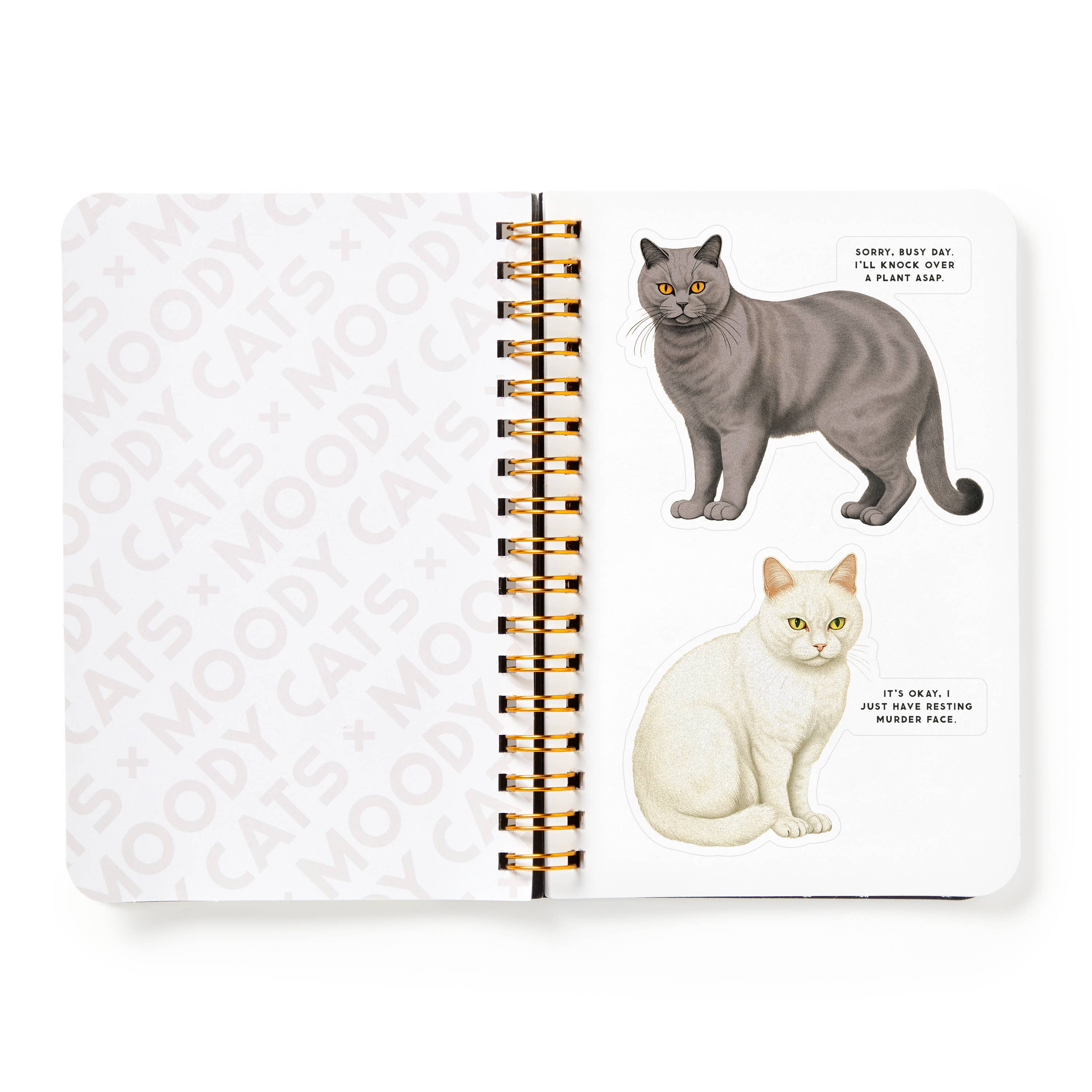 Brass Monkey Moody Cats Sticker Book - Image 7