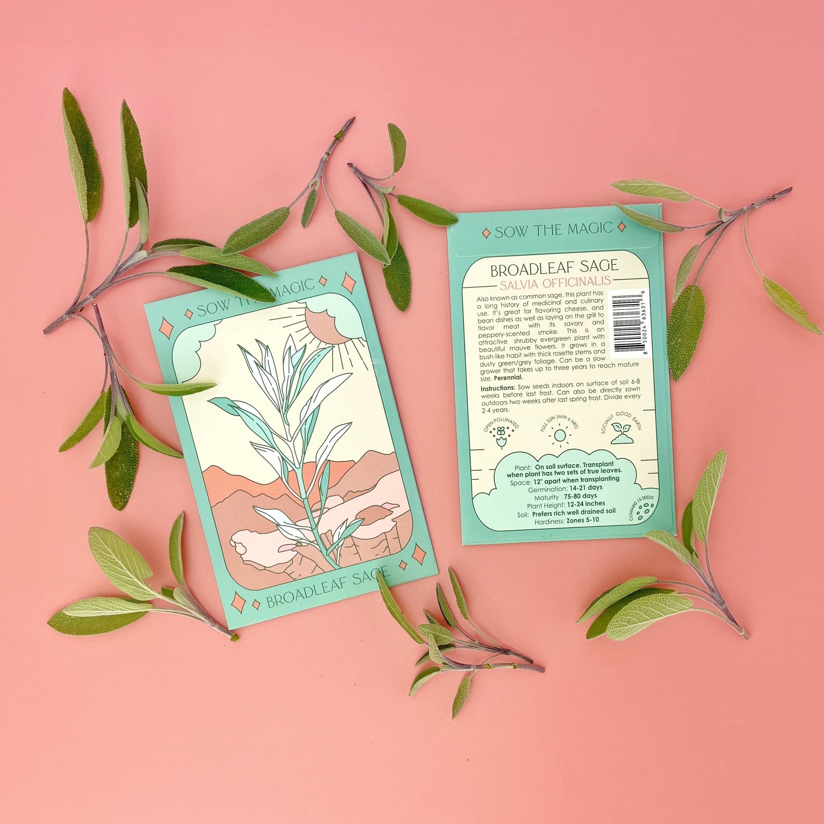 Seeds Broadleaf Sage Culinary Herb - Image 4