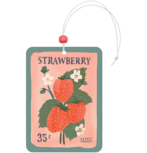 Car Air Fresheners - Image 8