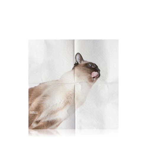 Cat Napkins - Image 5