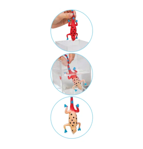 Color-Changing Revealeons - Image 2