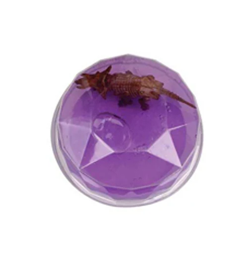 Dinosaur Fossil Putty - Image 5