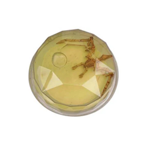 Dinosaur Fossil Putty - Image 6