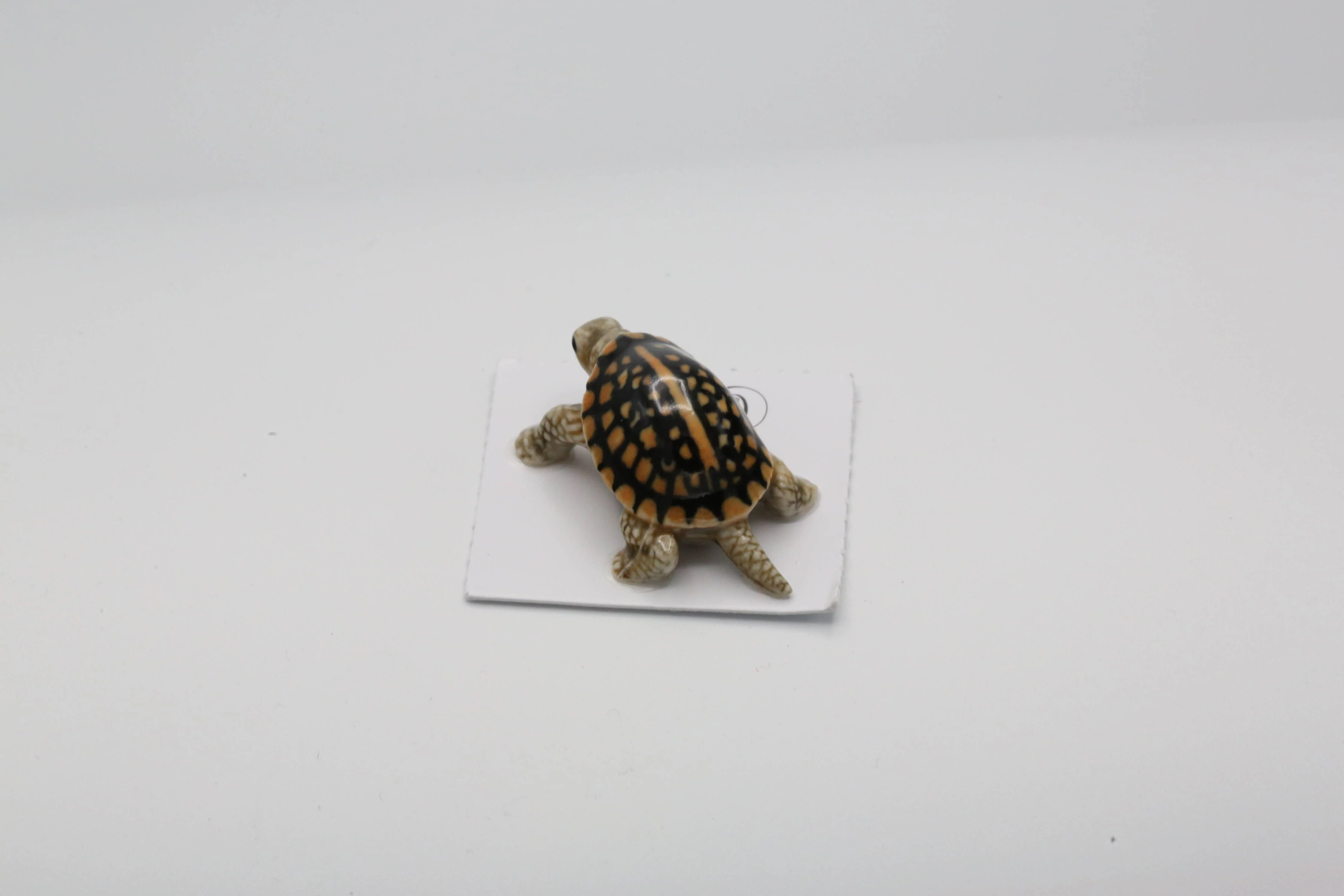 Dom Box Turtle Porcelain Miniature - Image 2