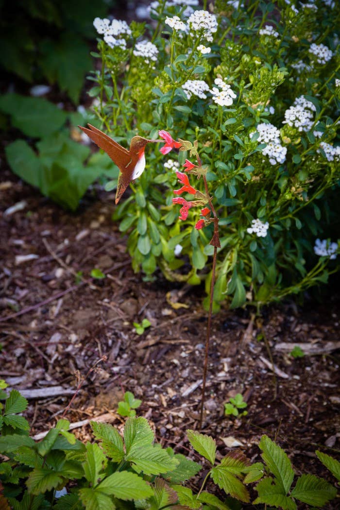 Hummingbird on Salvia Pick -Painted - Image 7