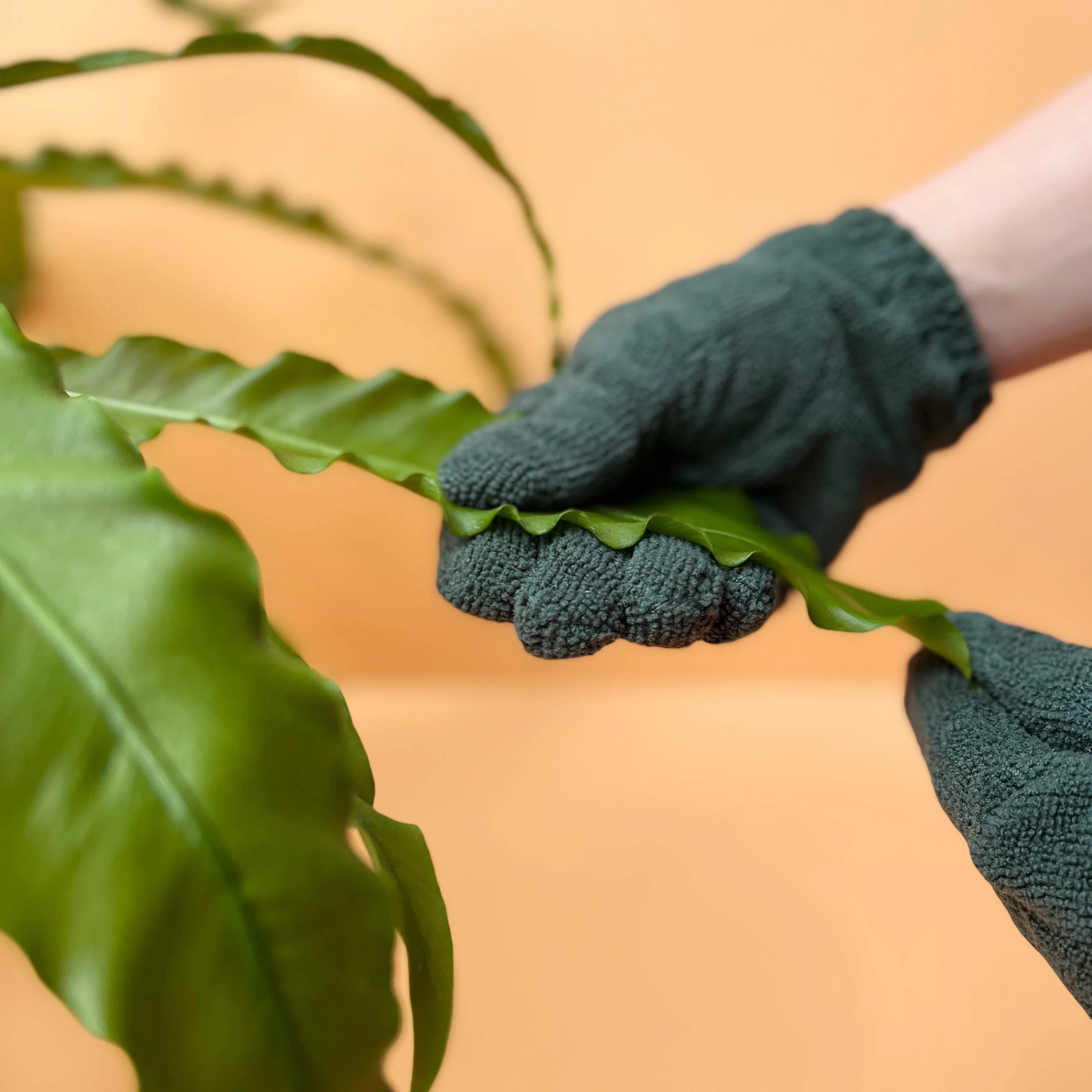 Leaf-Cleaning Gloves - Image 3