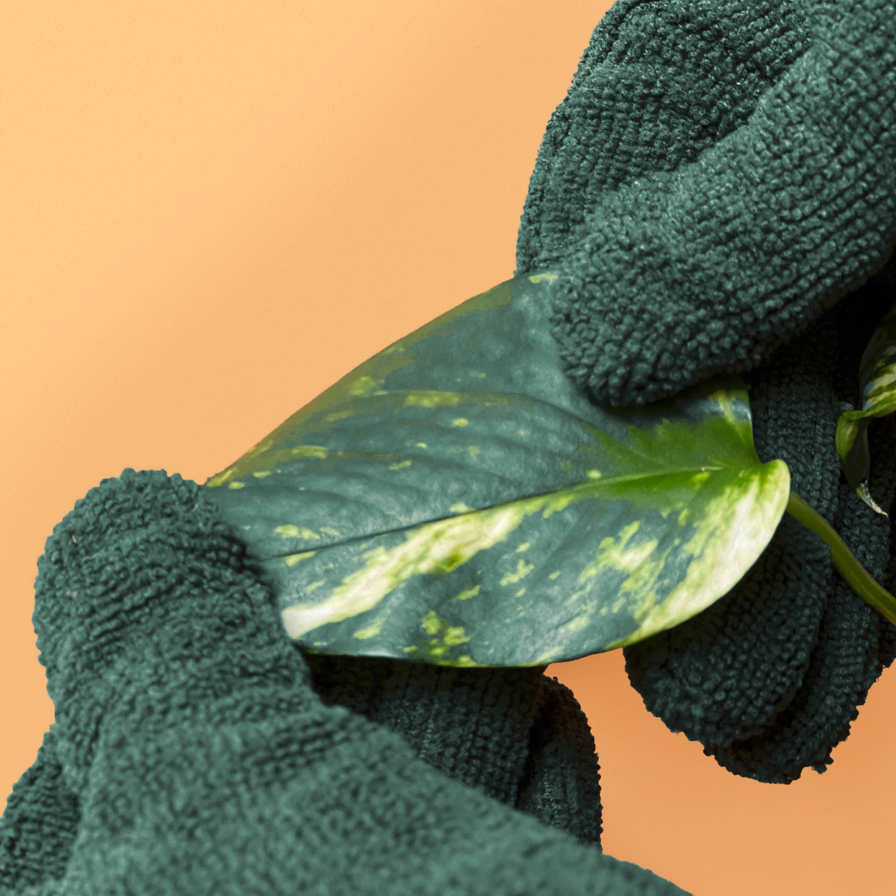 Leaf-Cleaning Gloves - Image 4