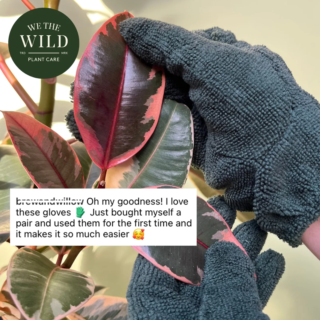 Leaf-Cleaning Gloves - Image 6