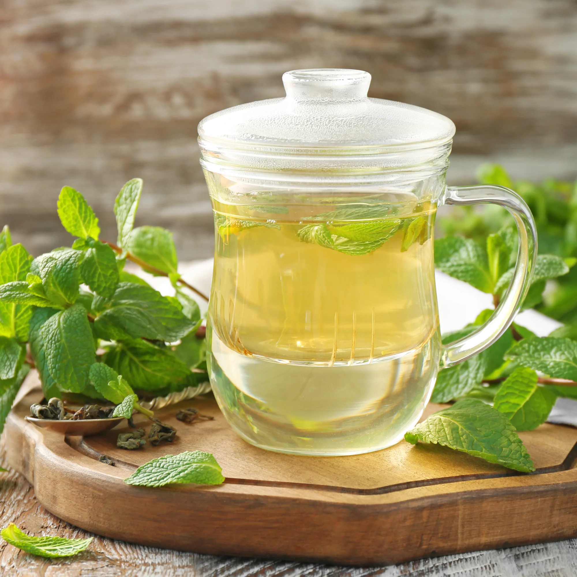 Seeds Lemon Balm - Image 6