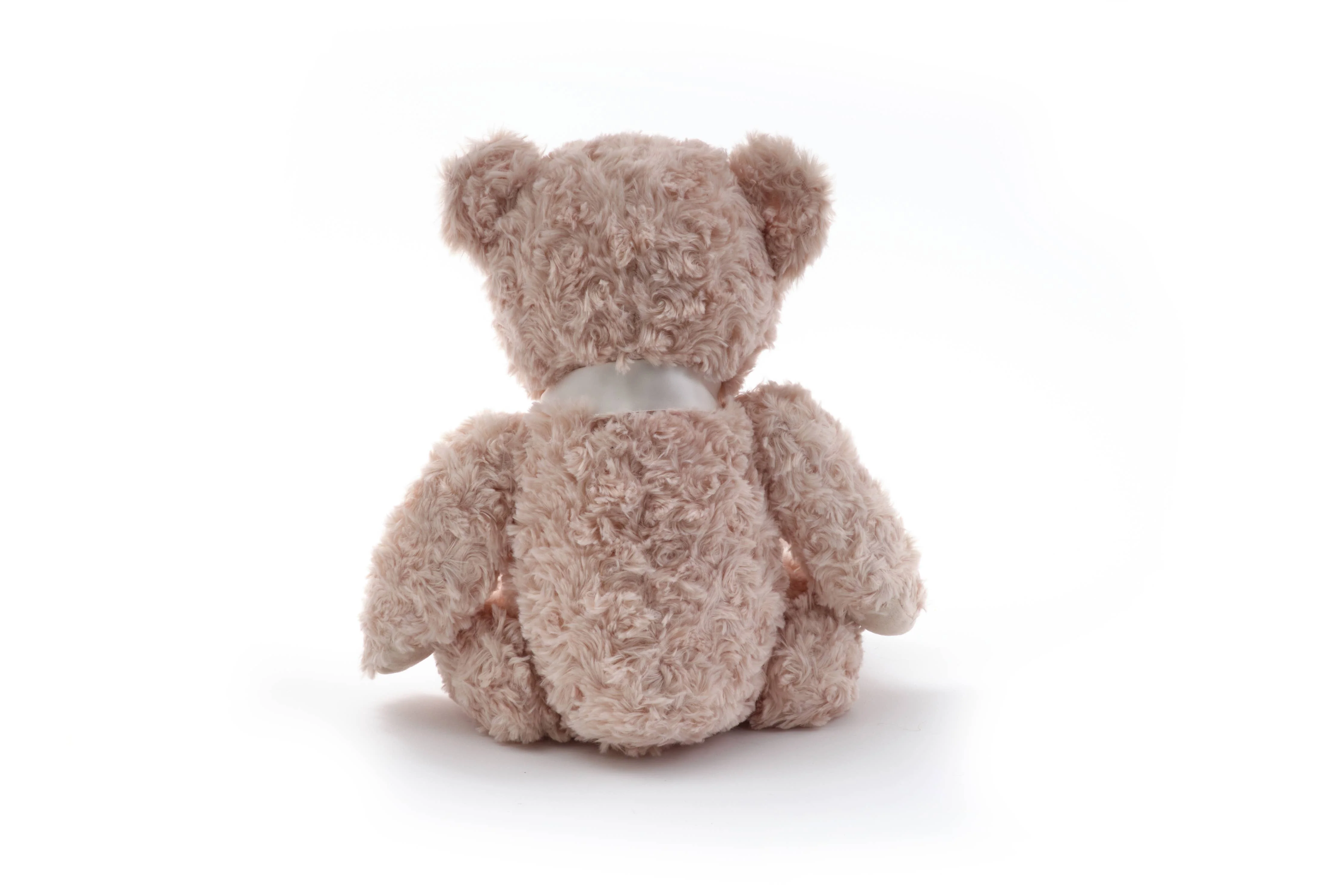 Lil' Tate the Teddy Bear - Image 4