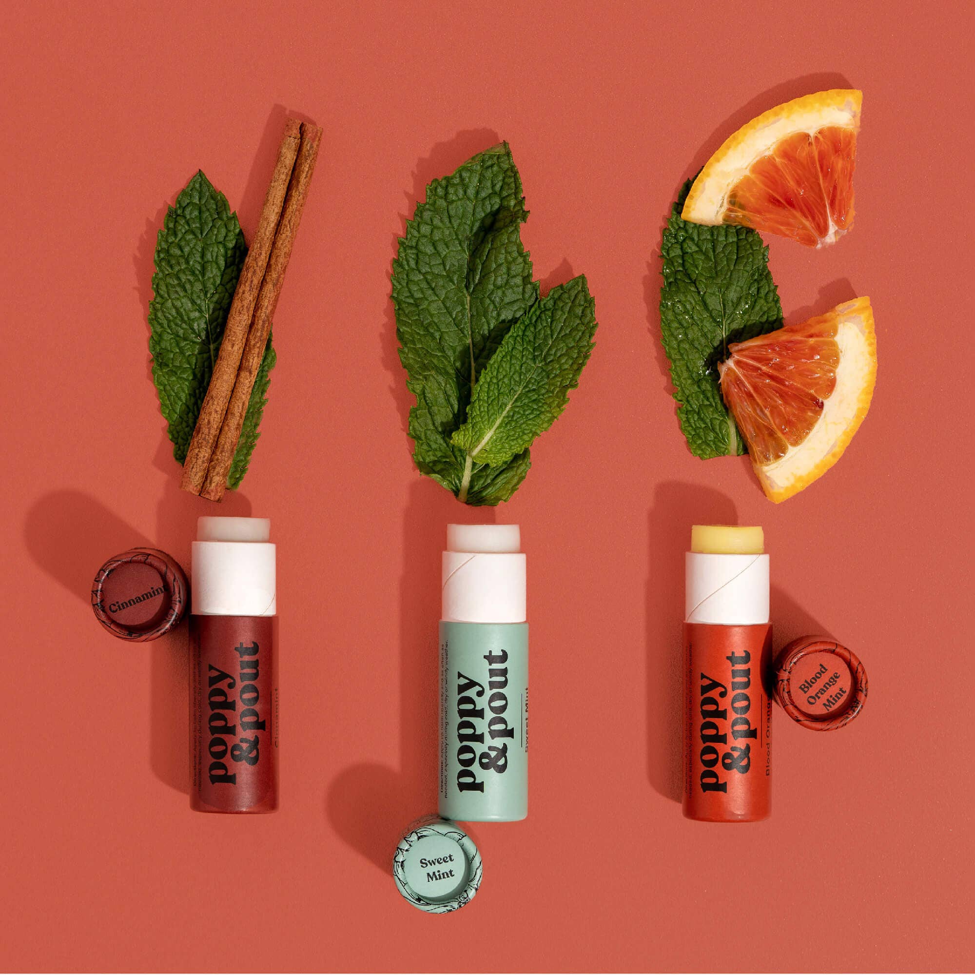 Lip Balm, Blood Orange Mint - Image 8