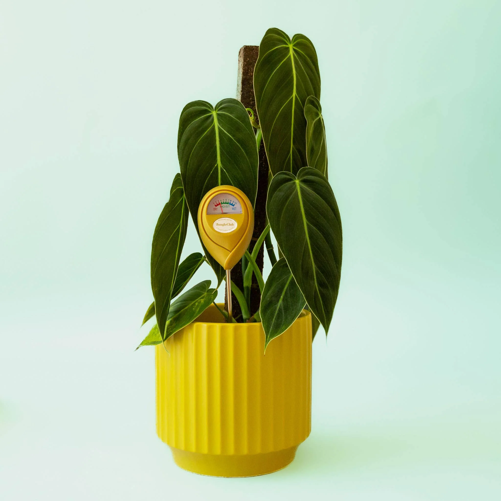 Moisture Meter - Green - Image 10