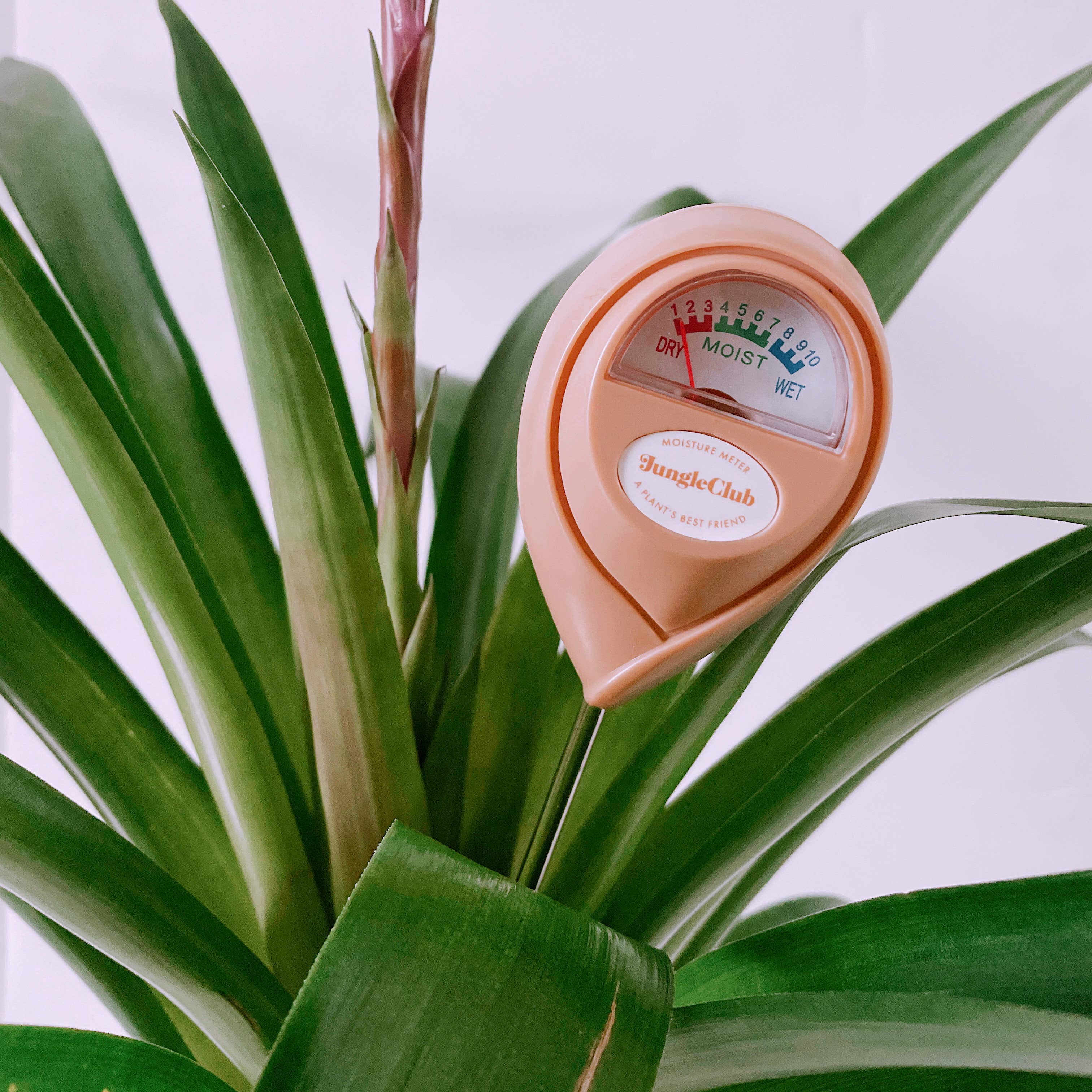 Moisture Meter - Pink - Image 4
