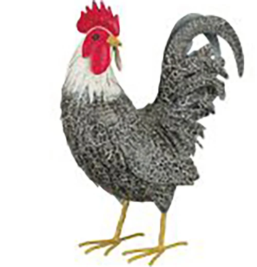 Murray Hen And Rooster Decor - Image 2