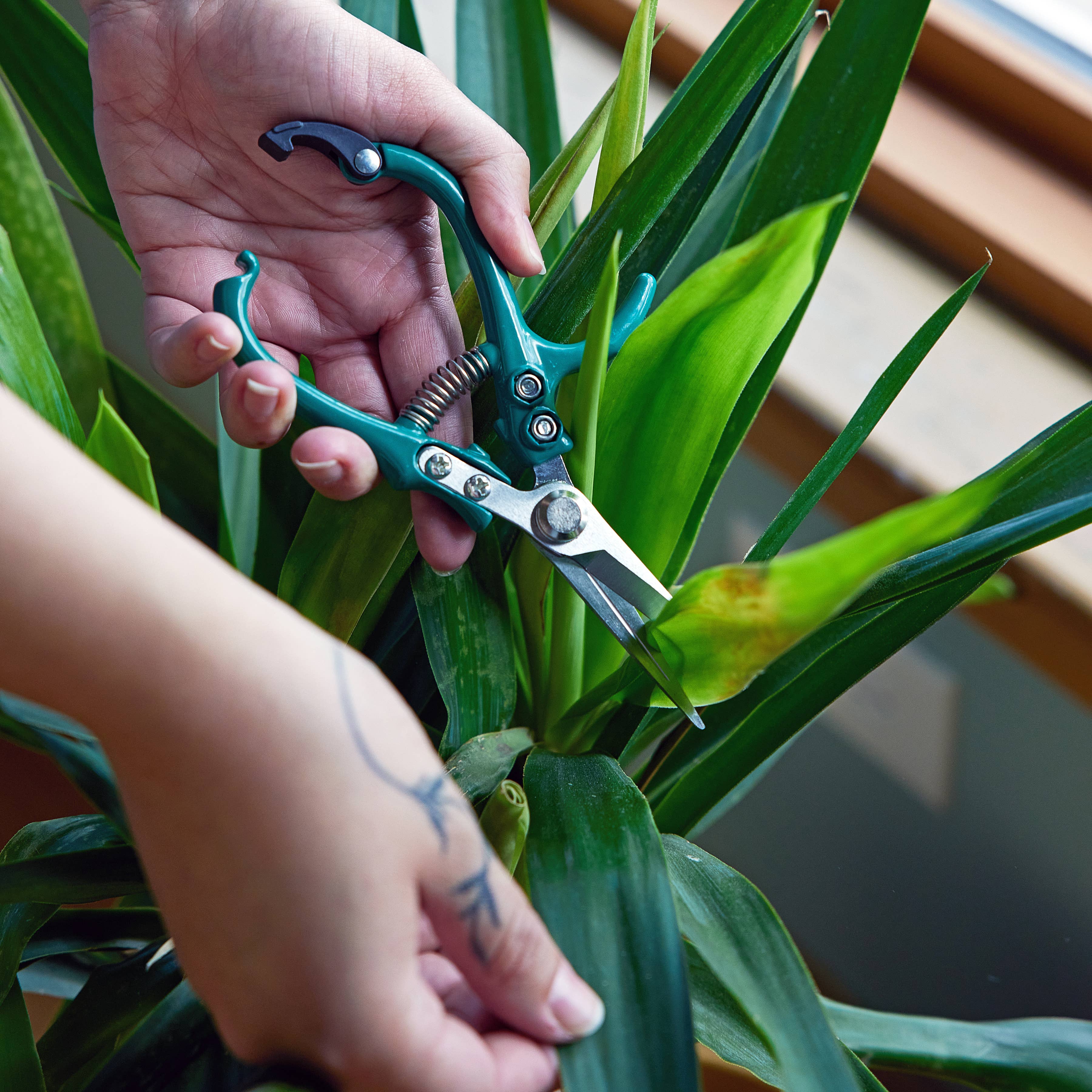 Garden Shears : Ocean - Image 6