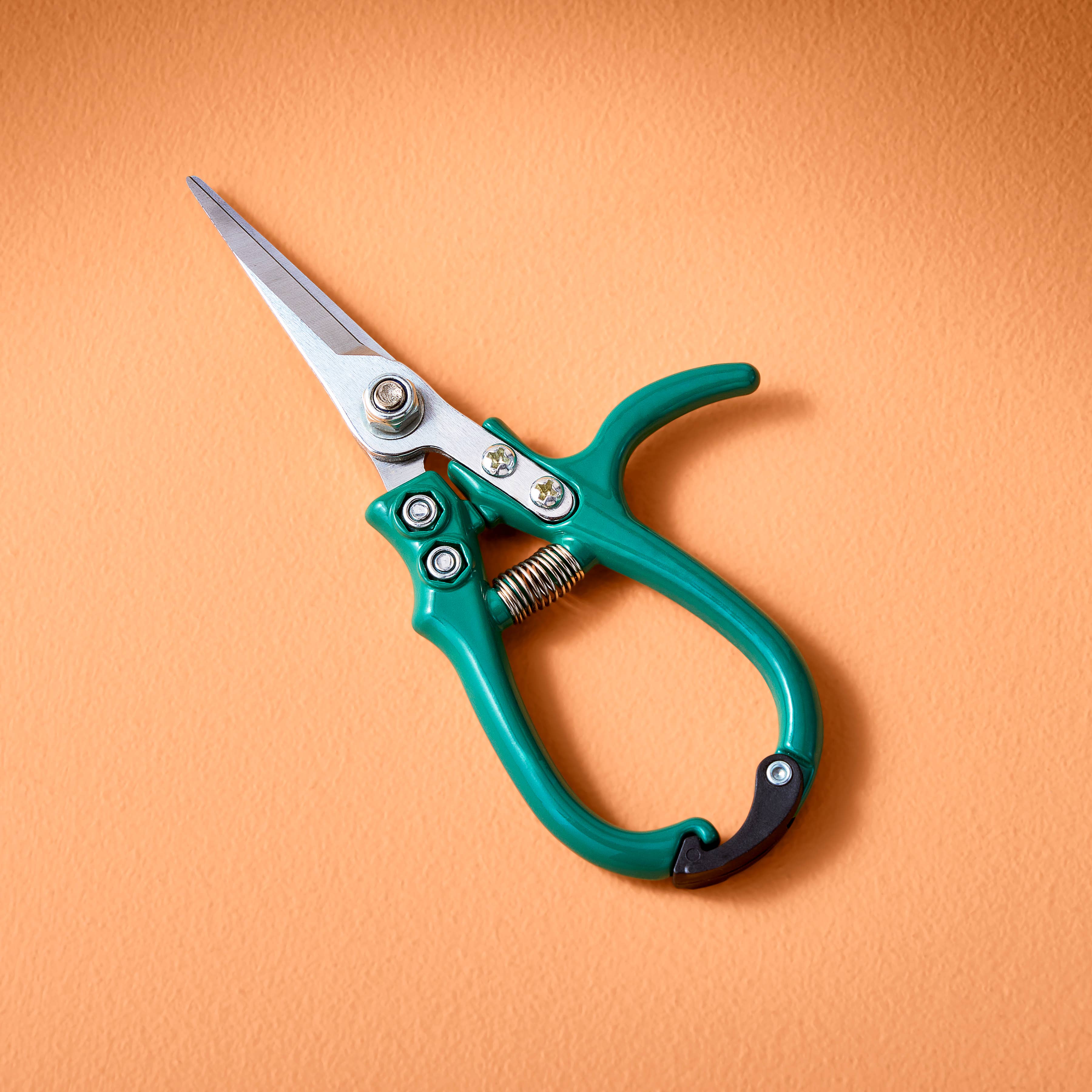 Garden Shears : Sage - Image 4