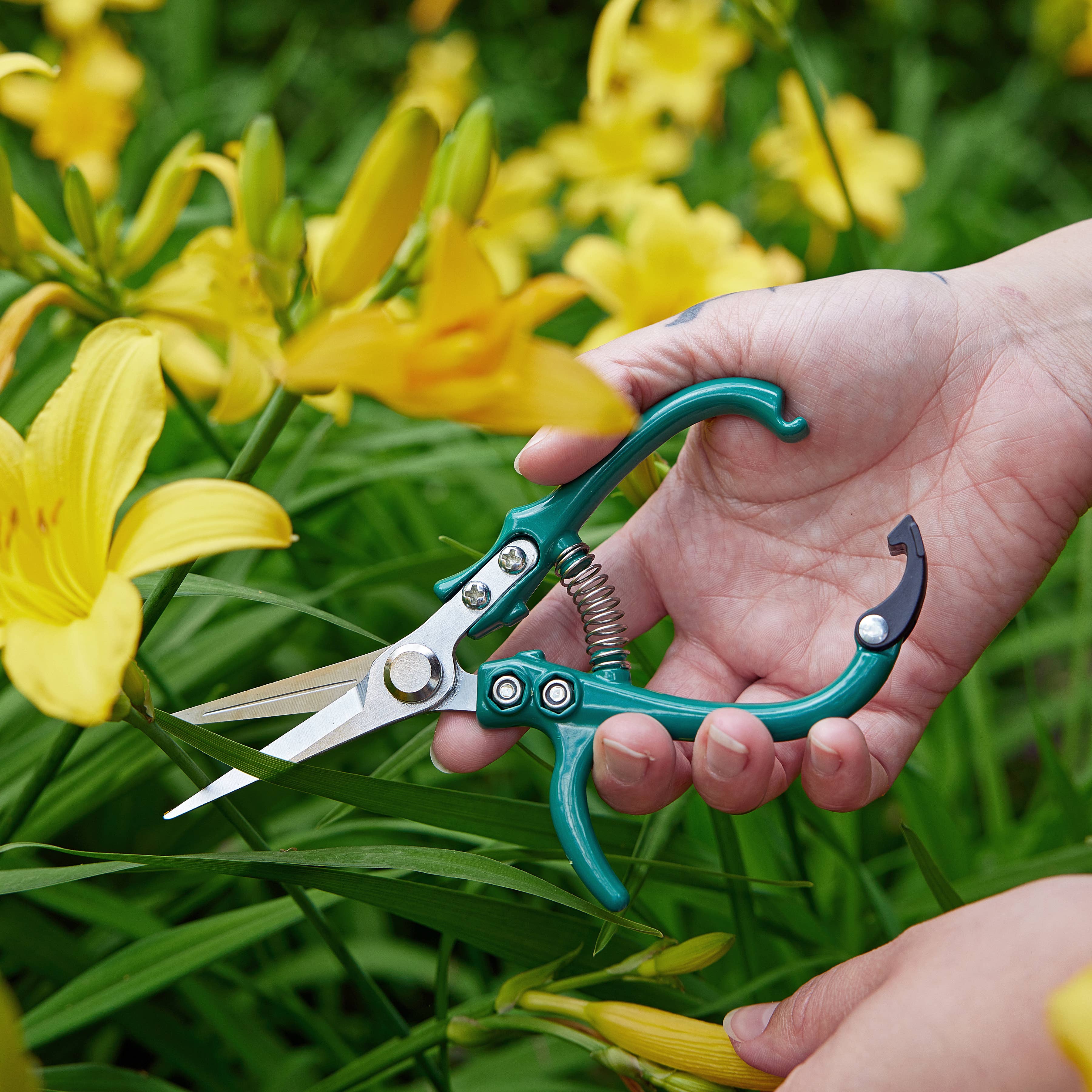 Garden Shears : Sage - Image 5