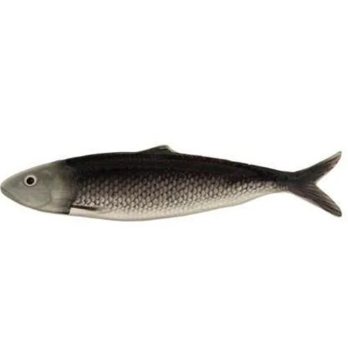 Painted Ceramic Sardine Plate - Image 2