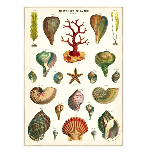Poster Wrap - Image 14