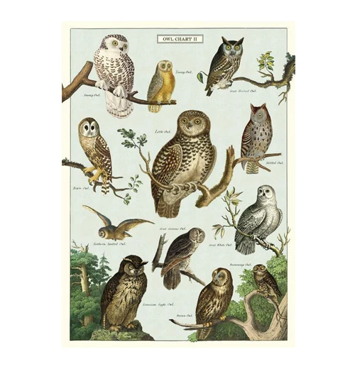 Poster Wrap - Image 20