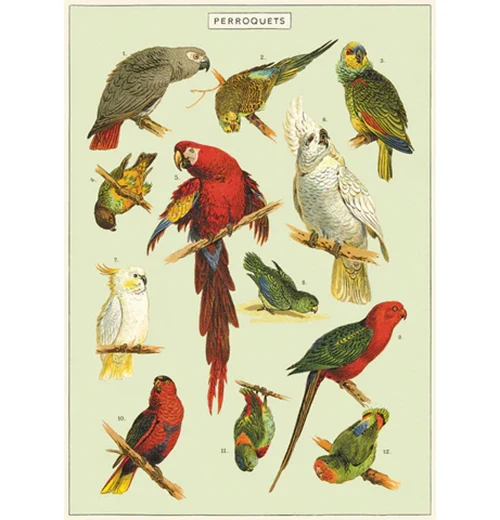 Poster Wrap - Image 21