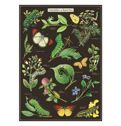 Poster Wrap - Image 7