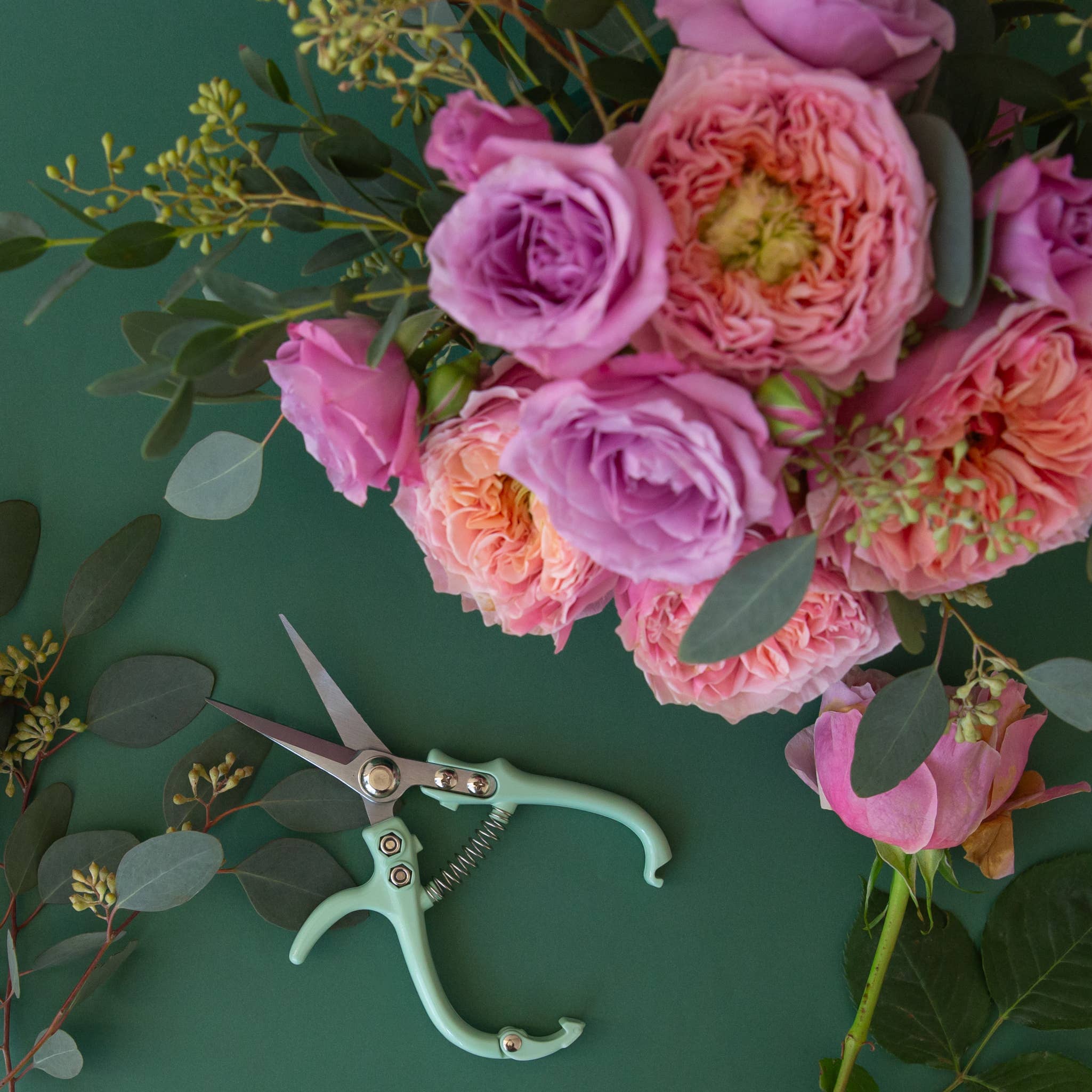 Pruning Shears | Lagoon - Image 2