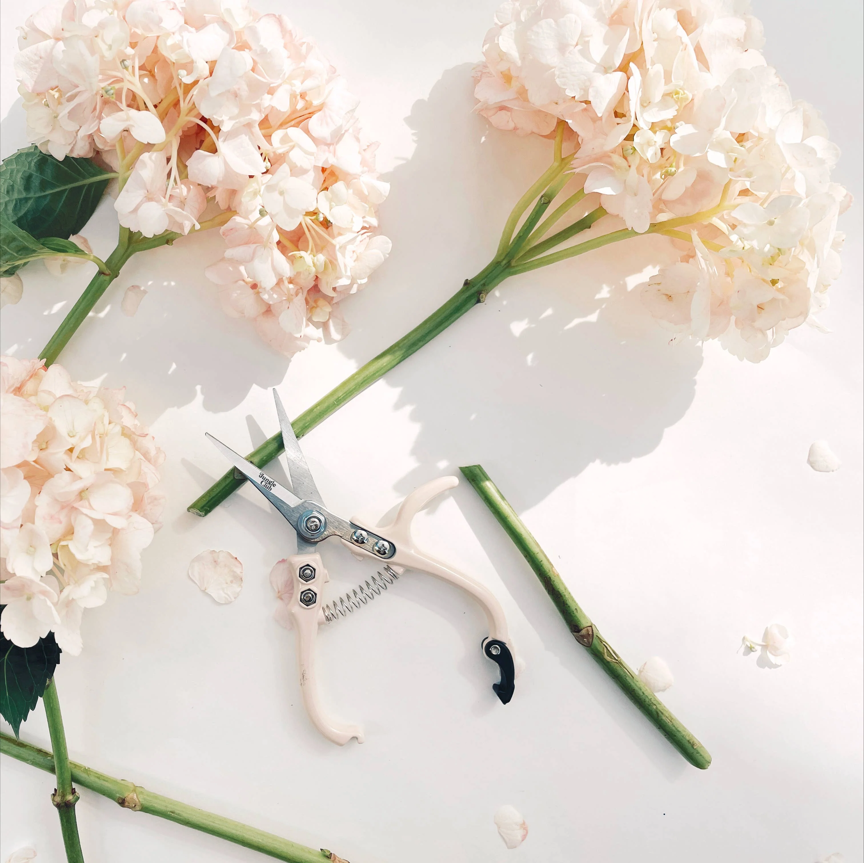 Pruning Shears - Vanilla - Image 2