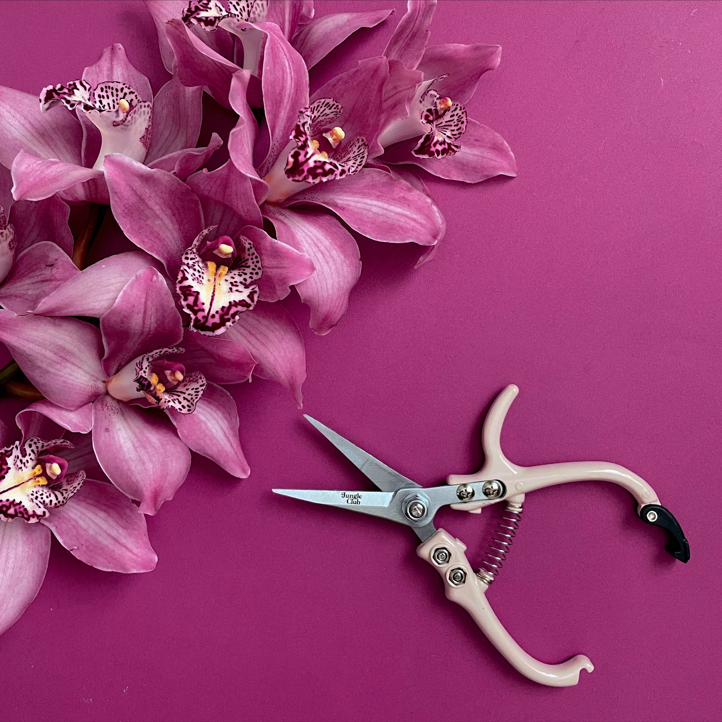 Pruning Shears - Vanilla - Image 3