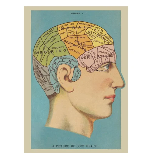 Pseudoscience Poster Wrap - Image 2