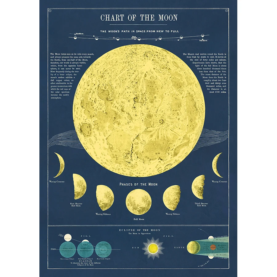 Science & Education Poster Wrap - Image 26