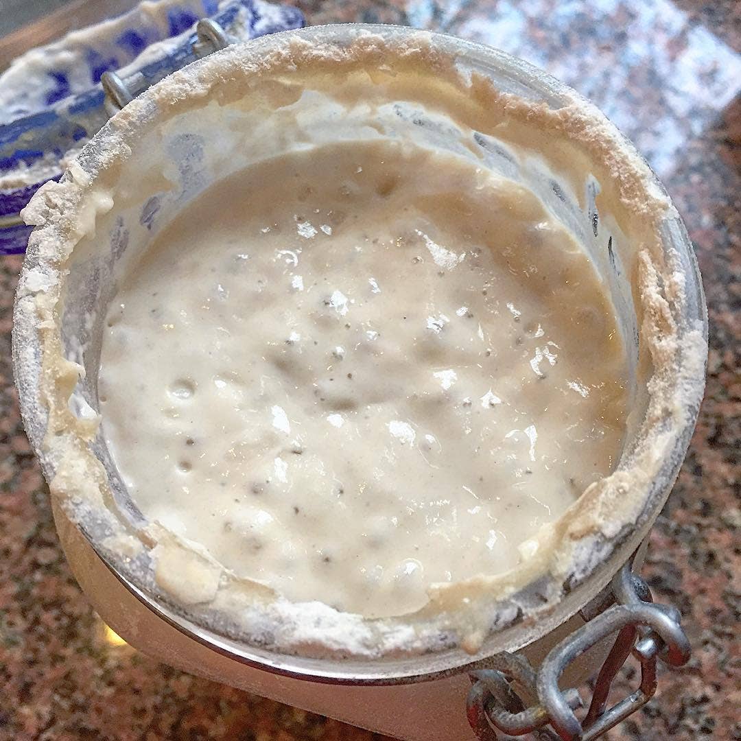 Sourdough Starter - Image 3