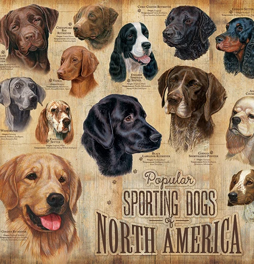 Sporting Dogs 1000-Piece Puzzle - Image 2
