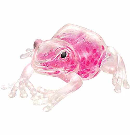 Squish The Frog - Image 3