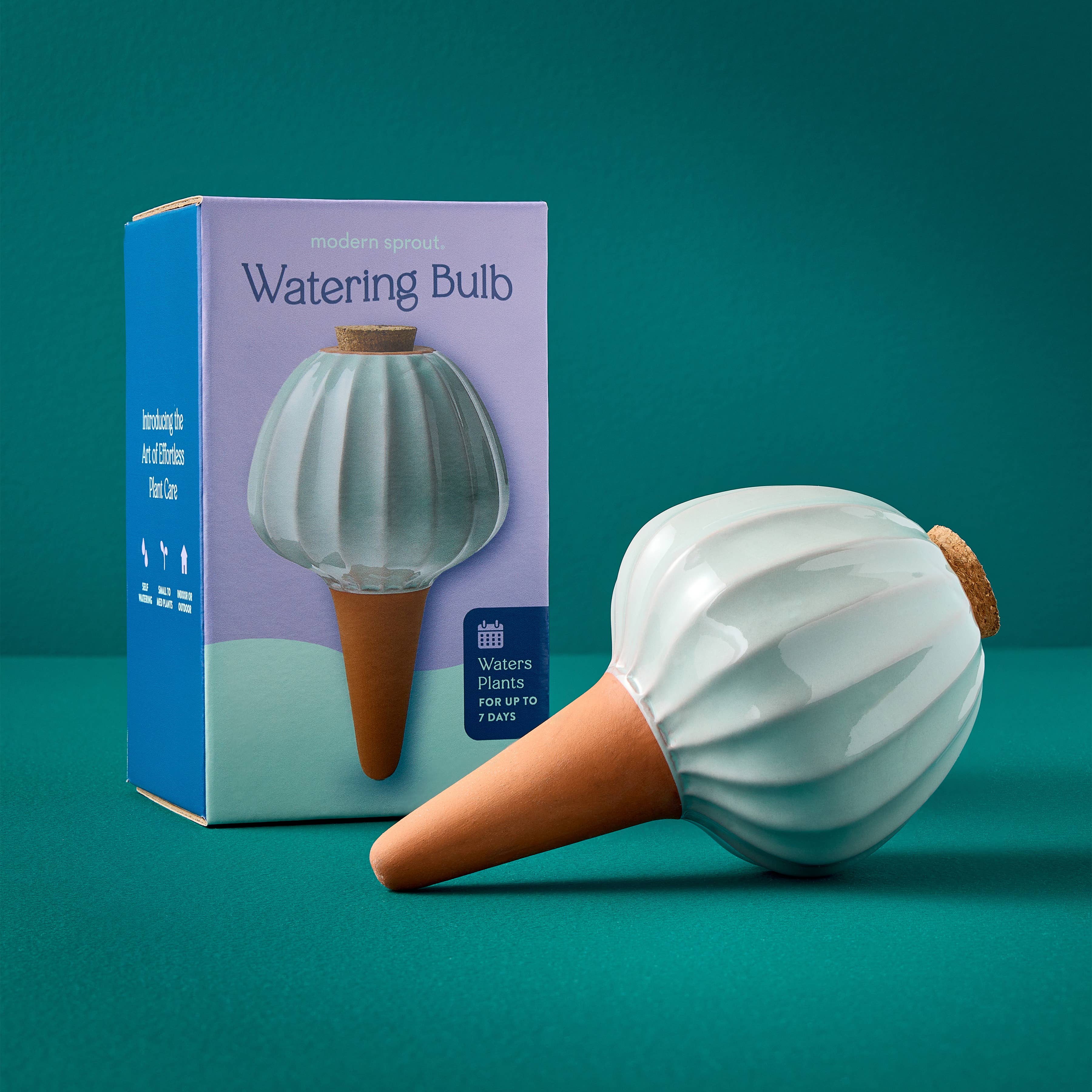 Terracotta Watering Bulb: Sage - Image 13
