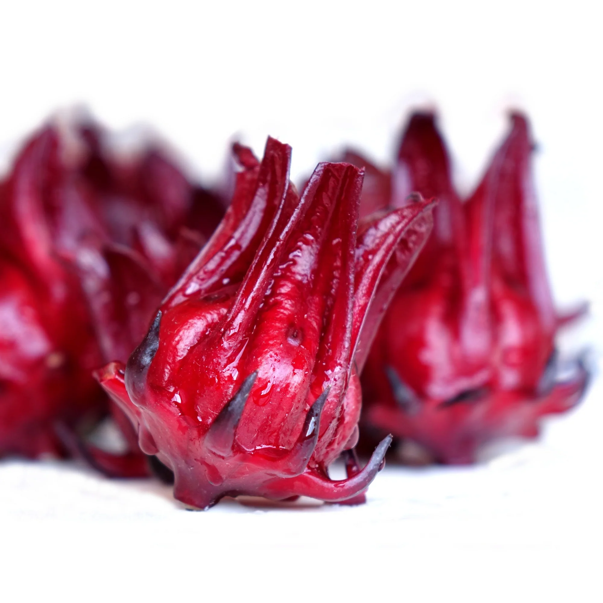 Seeds Thai Red Roselle Hibiscus - Image 2