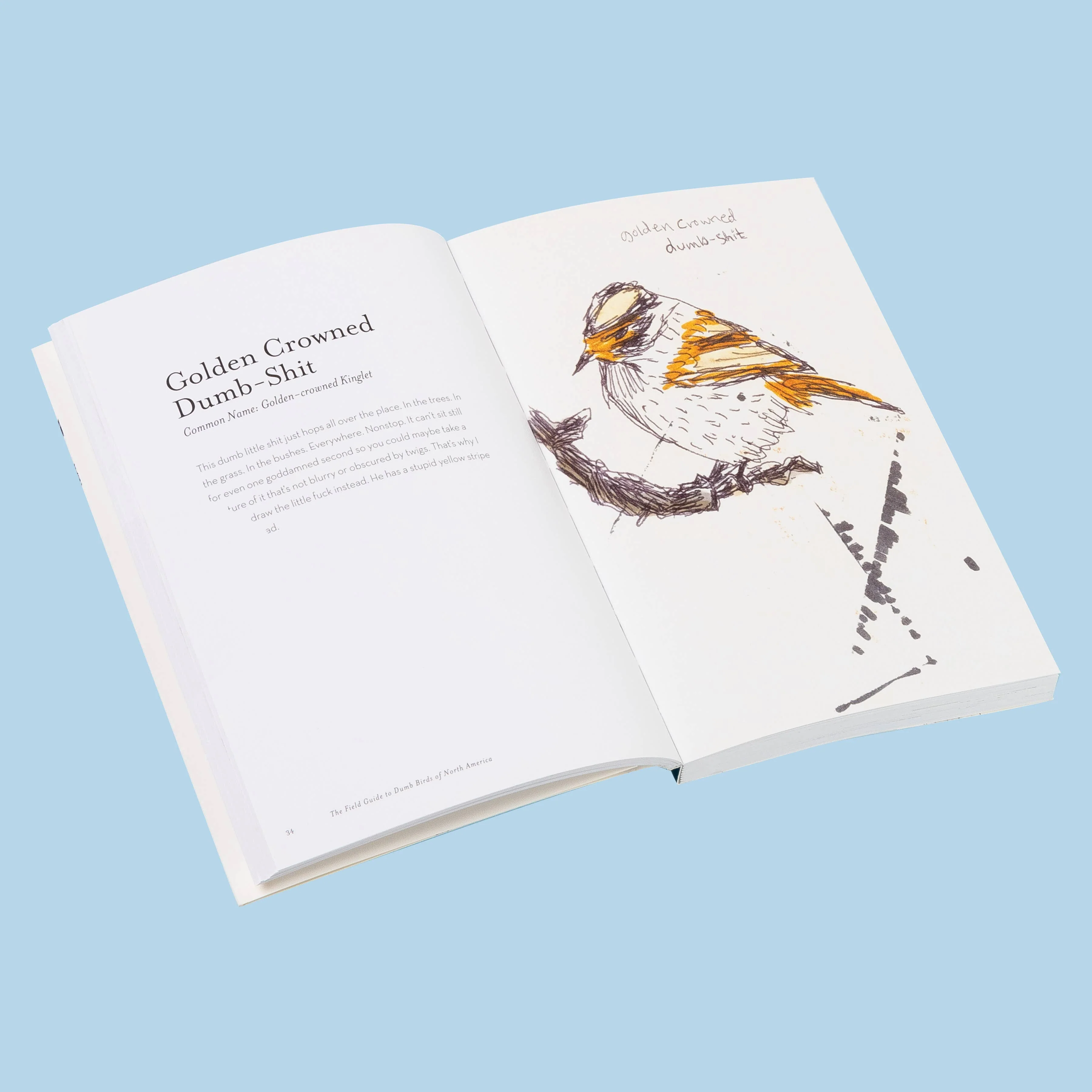The Field Guide to Dumb Birds of North America - Image 4