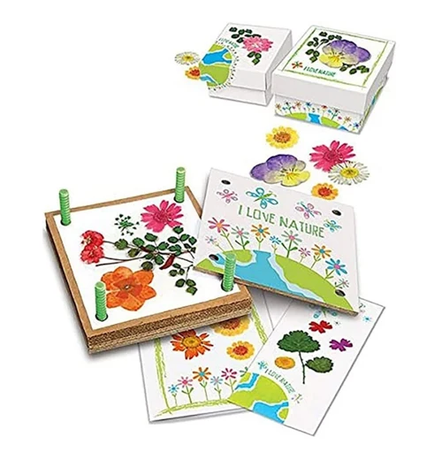 Pressed Flower Art - Image 2
