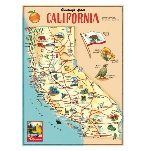 Travel & Maps Poster Wrap - Image 2