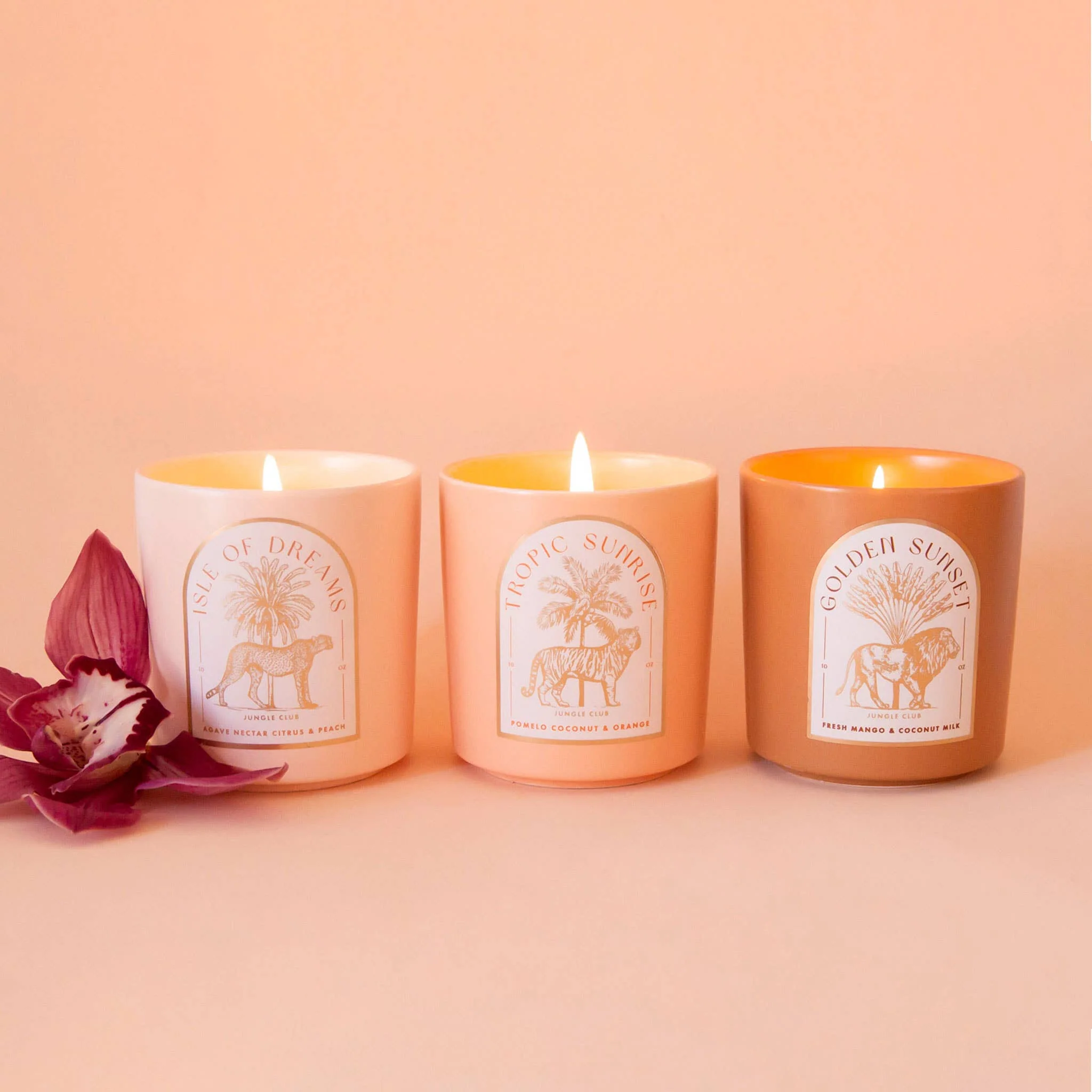 Tropic Sunrise Candle | Pomelo, Coconut, & Orange - Image 7