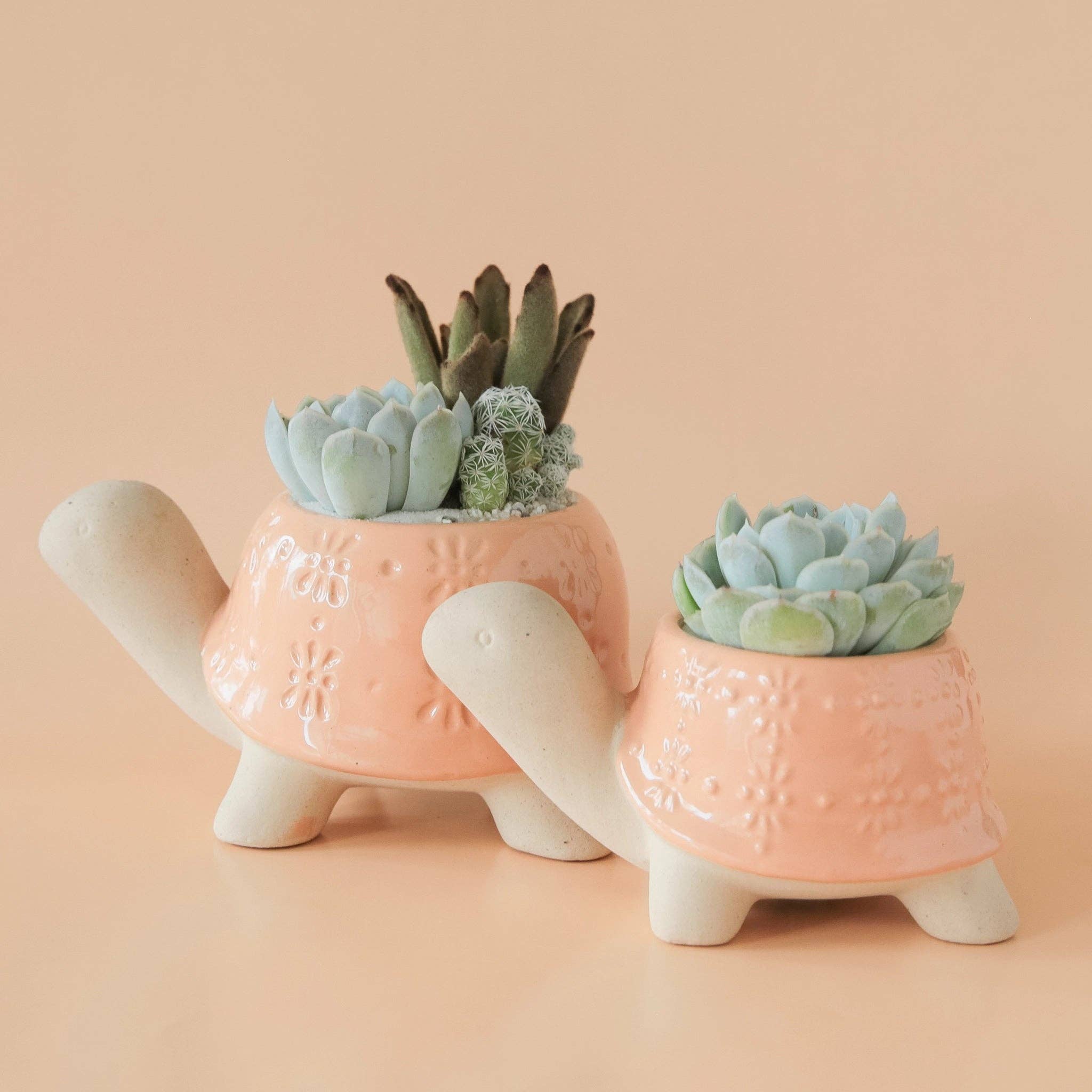 Turtle Planter | Sunset : Medium - Image 3